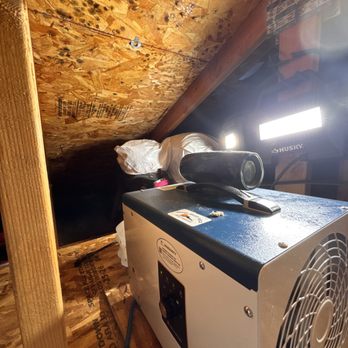 Silver Valley Mold - Attic mold remediation with dehumidification. - Environmental Testing Near Me Silver Valley Mold - Attic mold remediation with dehumidification. - Environmental Testing Near Me