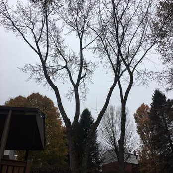 Flaherty Tree Service - Tree Services Near Me - Pittsburgh, Pennsylvania Flaherty Tree Service - Tree Services Near Me - Pittsburgh, Pennsylvania