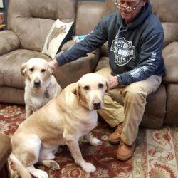 Office of Lynn Bolen, LCSW - Lynn Bolen and his two therapy dogs, Bailey and Sailor.