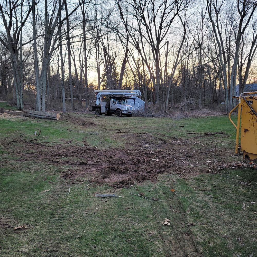 Paradise Landscaping & Tree Removal - Our destroyed lawn. And their vehicles/equipment. - Landscaping Near Me - Hamden, Connecticut Paradise Landscaping & Tree Removal - Our destroyed lawn. And their vehicles/equipment. - Landscaping Near Me - Hamden, Connecticut