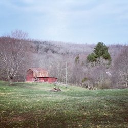 Shinbrier Cottages - This is the view from the front porch!!