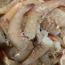 Key West Conch Life Charters - Shrimp