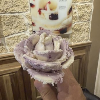 Amorino - Blueberry cheesecake gelato - Gelato Near Me - San Francisco, California