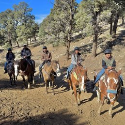 From right to left... Amigo, Trevor, Maverick, Tripoli, Moss From right to left... Amigo, Trevor, Maverick, Tripoli, Moss