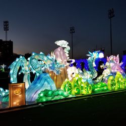 Dragons