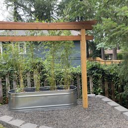Torii gate with bamboo from Beauty and the Bamboo planted behind it. Torii gate with bamboo from Beauty and the Bamboo planted behind it.