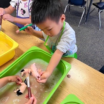 Bright Sunrise Preschool - Preschools Near Me - San Jose, California Bright Sunrise Preschool - Preschools Near Me - San Jose, California