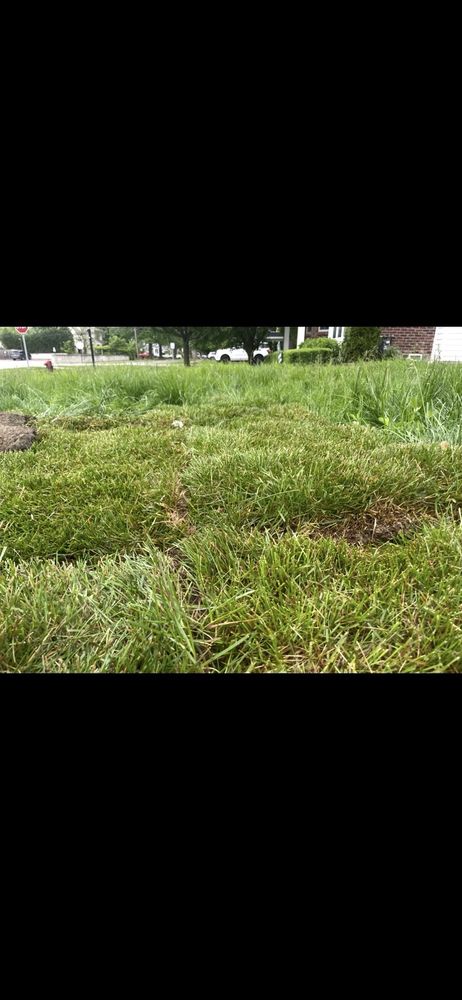 Slide of The Drain Guys