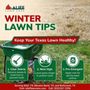 Photo of Alief Lawn Care