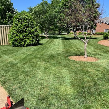 East King Landscapes - a freshly mowed lawn - Landscaping Near Me East King Landscapes - a freshly mowed lawn - Landscaping Near Me