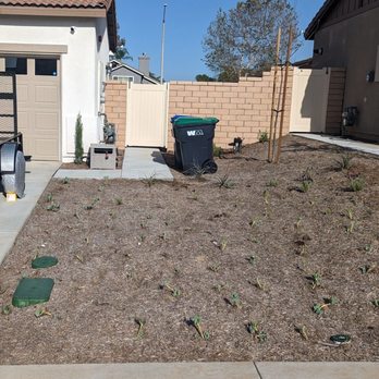 LTS Landscape Design + Build - Front yard before with 4 ft gate - Landscaping Near Me - Corona, California LTS Landscape Design + Build - Front yard before with 4 ft gate - Landscaping Near Me - Corona, California