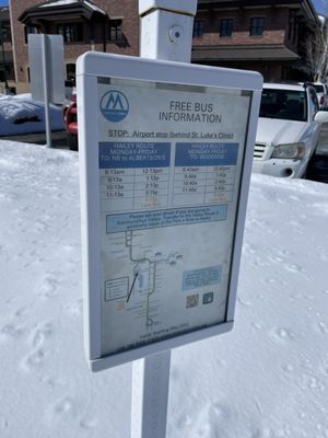 Friedman Memorial Airport (SUN) by null