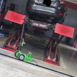 Tire Kingdom