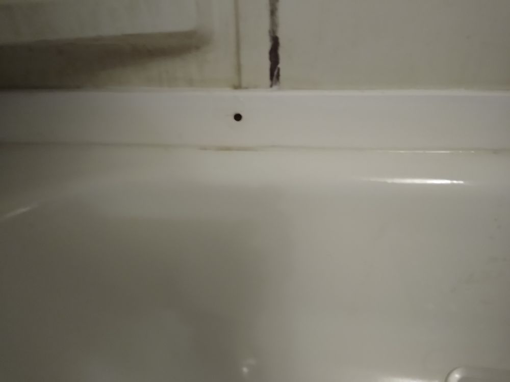 Slide of Lil D-Tailz