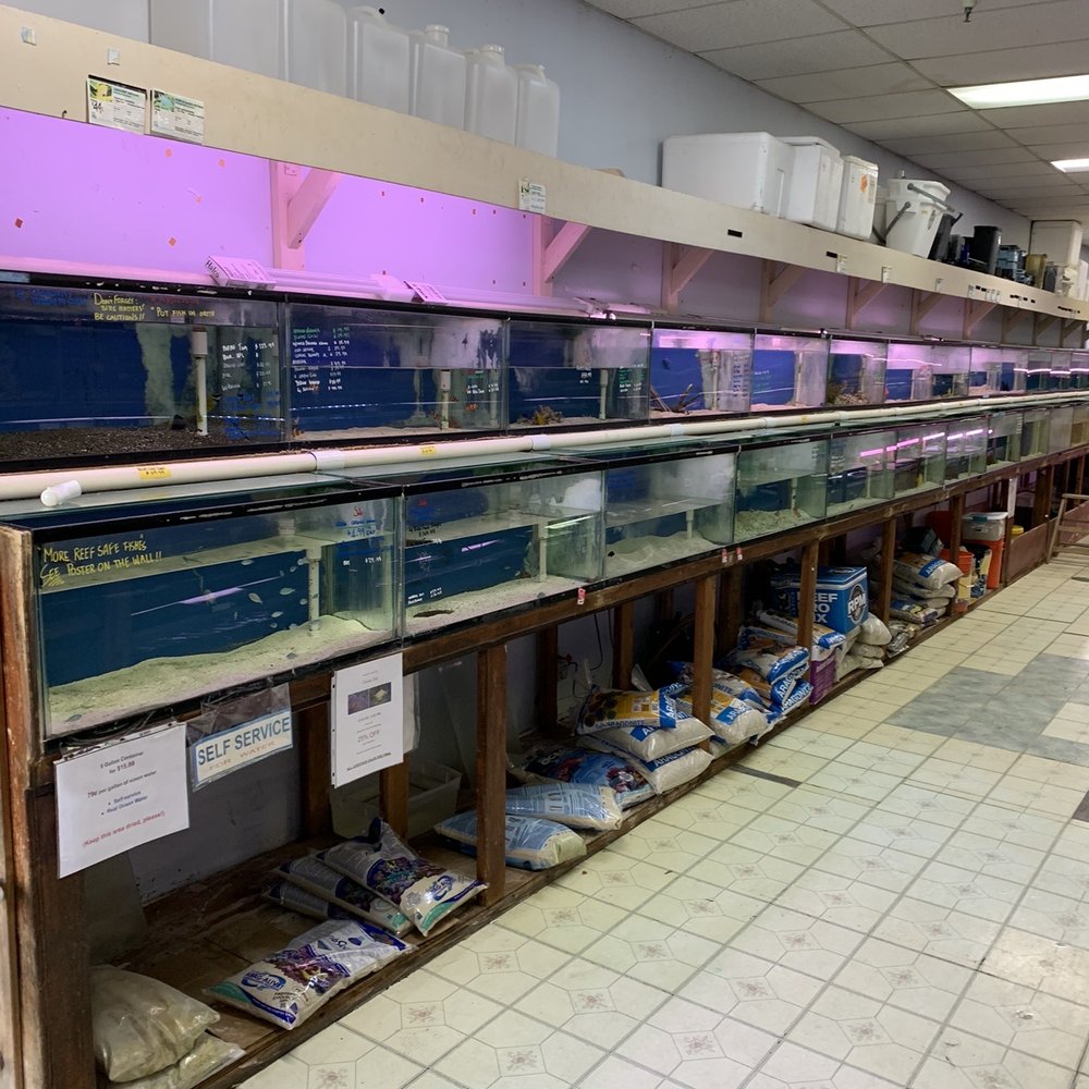 Pasadena Tropical Fish - Local Fish Stores Near Me - Pasadena, California