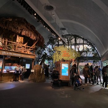 Shedd Aquarium - Aquariums Near Me - Chicago, Illinois Shedd Aquarium - Aquariums Near Me - Chicago, Illinois