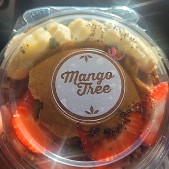 Mango Tree Raw Juice & Smoothies - Juice Bars & Smoothies Near Me - Kennesaw, Georgia