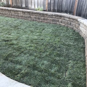 Cascading Falls - New sod installed - Landscaping Near Me - Roseville, California