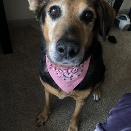 clean and soft Jackie after her bath
