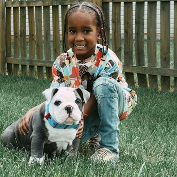 TLS Kennels - Rolley & Gooby
Blue trindle - Pet Breeders Near Me TLS Kennels - Rolley & Gooby
Blue trindle - Pet Breeders Near Me