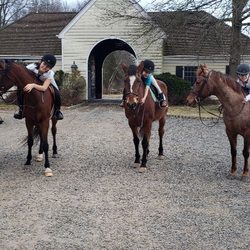Sauer's Riding School - SRS riders loving their horses after their lesson!