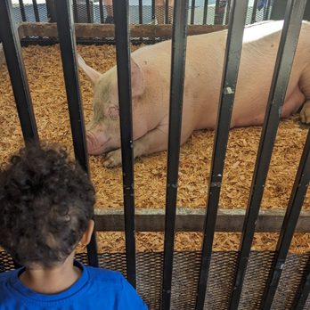 Washington State Fair - Festivals Near Me - Puyallup, Washington Washington State Fair - Festivals Near Me - Puyallup, Washington