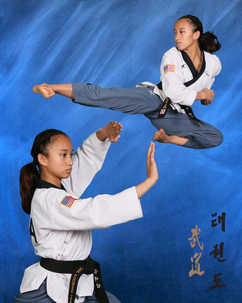 Yong In Martial Arts Academy Logo