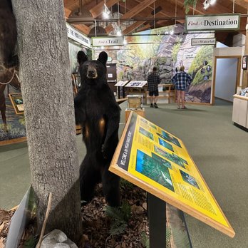 Pisgah National Forest - Browsing the ranger station - Hiking Near Me - Pisgah Forest, North Carolina