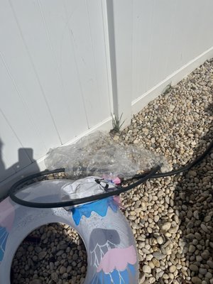 Long Island Swim-Pool Service