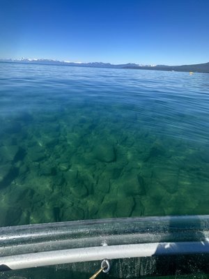 Wild Society Kayaking Rentals by null