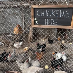 Valmonte Farm & Garden