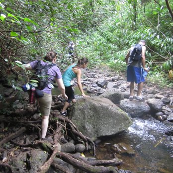 Ka'au Crater - The path crossed this stream a few times. - Hiking Near Me - Honolulu, Hawaii