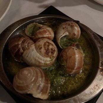 Papillon - French Near Me - Fremont, California