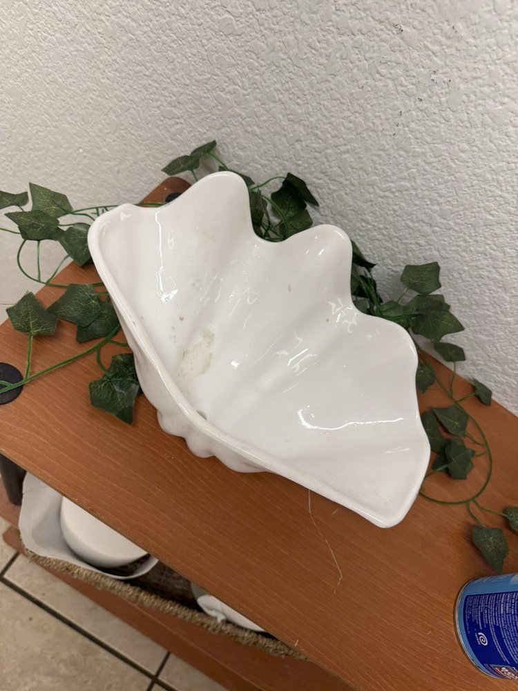 Mi Mundo Coffeehouse And Roastery