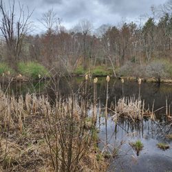 Laughing Brook Wildlife Sanctuary - Laughing Brook Pond