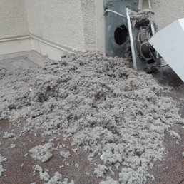 A little bit of lint came out!!!!! A little bit of lint came out!!!!!