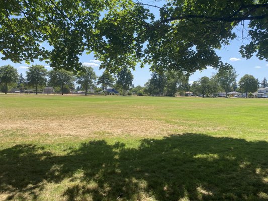 Glenwood Park by null