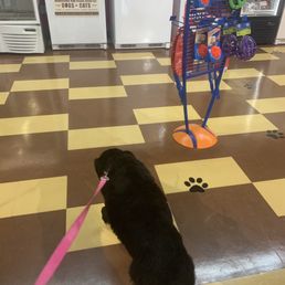 Walking around the store