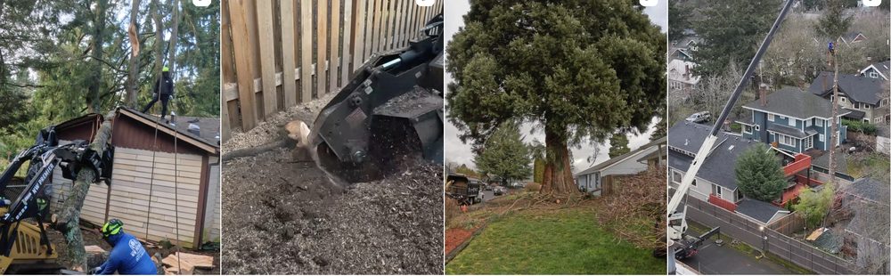 Nw Premier Tree Services - tree service in Salem, OR