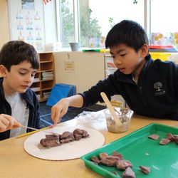 Chestnut Hill Academy
