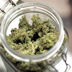 Dream Dispensary - Marijuana dispensary