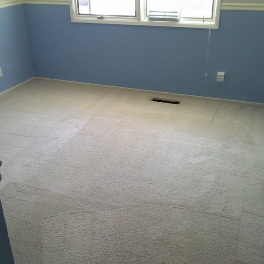 KB Carpet Cleaners - My carpet... AFTER :) - Carpet Cleaning Near Me - Concord, California KB Carpet Cleaners - My carpet... AFTER :) - Carpet Cleaning Near Me - Concord, California