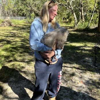 Amazing Animals - Possum - Zoos Near Me - Saint Cloud, Florida