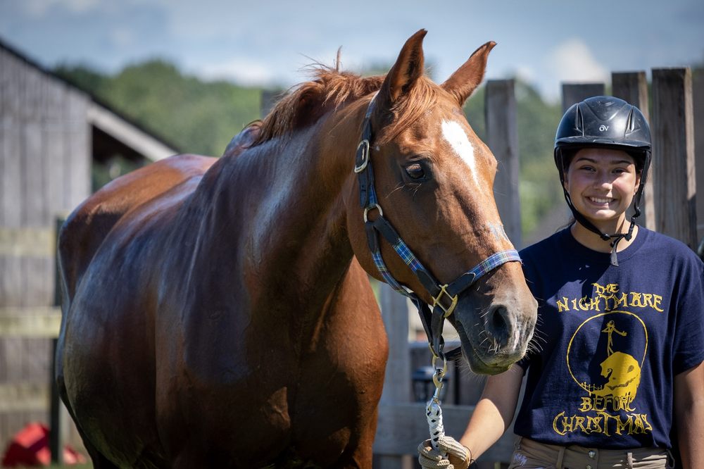 Great Distance Riding School Logo
