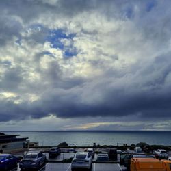 Moni Cash S.F. Tours: A Local Perspective - Land's End