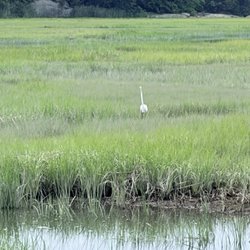 Branford Trolley Trail