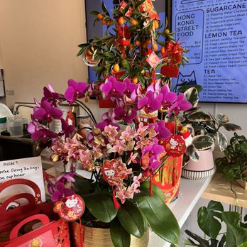 Heeretea - Live their flowers for lunar new years! - Coffee & Tea Near Me - San Mateo, California Heeretea - Live their flowers for lunar new years! - Coffee & Tea Near Me - San Mateo, California