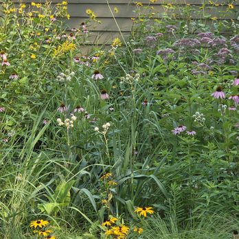 Calvin Ecosystem Preserve and Native Gardens - Special Education Near Me - Grand Rapids, Michigan Calvin Ecosystem Preserve and Native Gardens - Special Education Near Me - Grand Rapids, Michigan