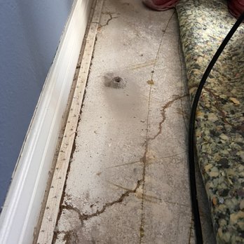 CoCo Rhino Pest Control - Termite tube under the carpet - Pest Control Near Me CoCo Rhino Pest Control - Termite tube under the carpet - Pest Control Near Me