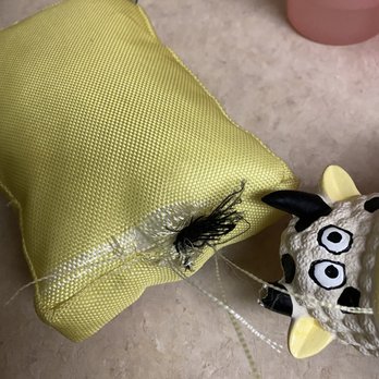 Paws... - Doggy bit an ear off the cow and tore open the yellow toy. - Pet Stores Near Me - Redlands, California